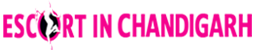 Escort Service in Chandigarh - Logo